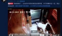 八点爆料家暴视频,惊曝家暴视频，真相触目惊心